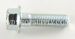 10x30mm, Class 10.9 Small Head Flange Bolt